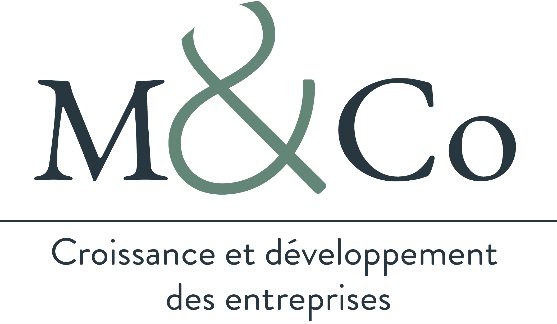 MCo Booster la croissance de votre entreprise